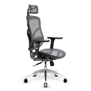 Fotel ergonomiczny Diablo V-Basic, czarno-szary